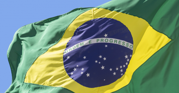 PDF) The Brazilian National Councils of Justice and Public