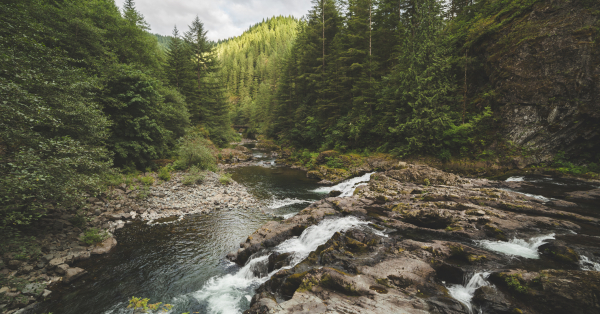 City in Washington Votes to Grant Local River Legally Enforceable Right ...